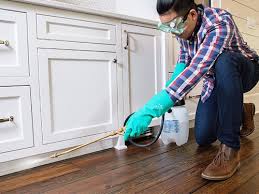 Best Pest Exclusion Services  in Elmira Heights, NY